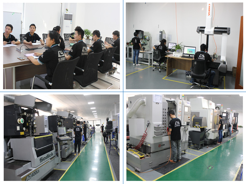 Suzhou Leyang Technology Co.,Ltd.